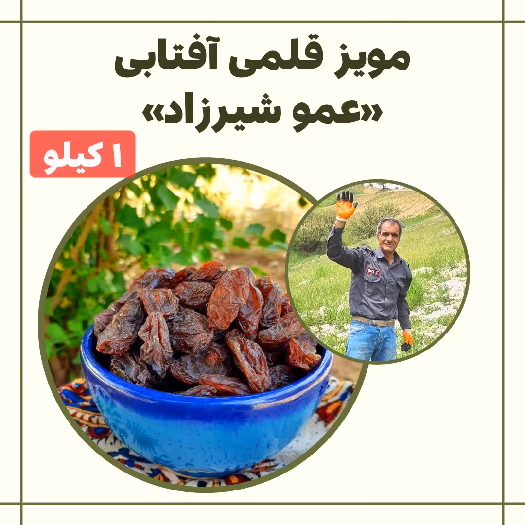 مویز قلمی کشیده آفتابی (یک کیلو)