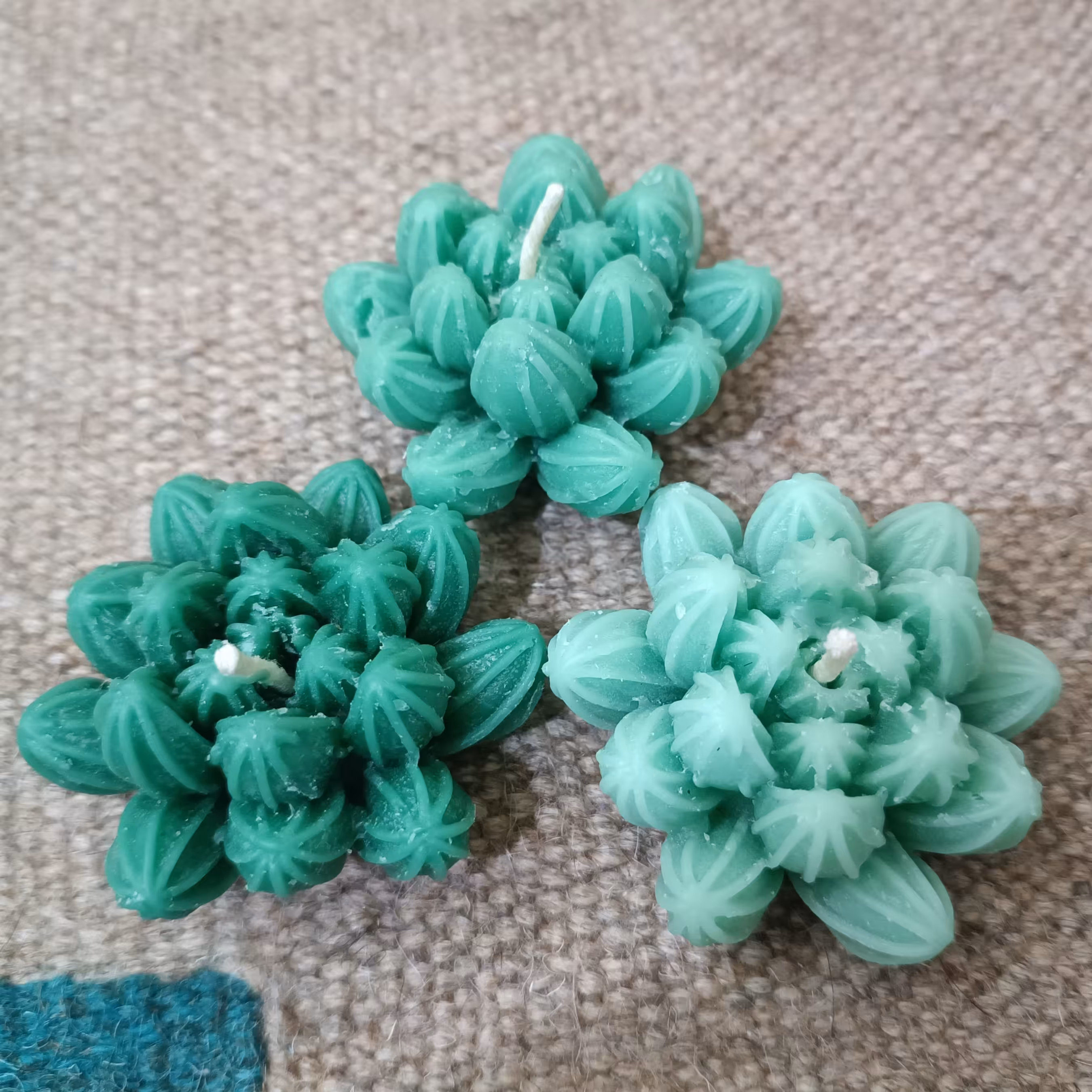 شمع کاکتوس پک سه تایی با موجودی محدود