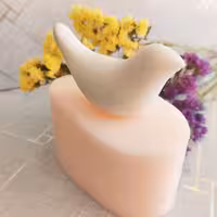 قالب سیلیکونی