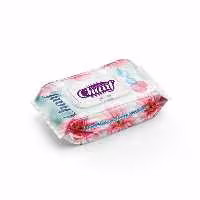 دستمال مرطوب چانف