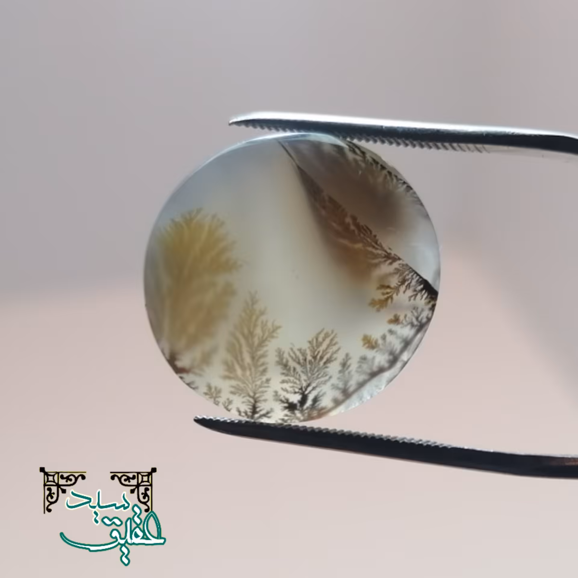 نگین عقیق شجر  گرد و ریز نقش