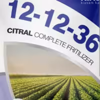 کود 12 12 36  مخصوص گلدهی و تداوم گلدهی (پس کرایه)