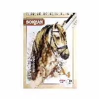 دفتر طراحی کرافت سخن