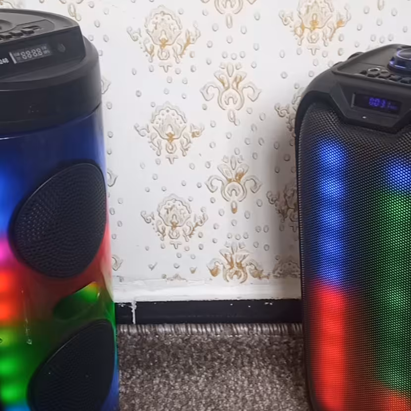اسپیکر اصلی بزرگ 4248 رقص نور و  بزرگ