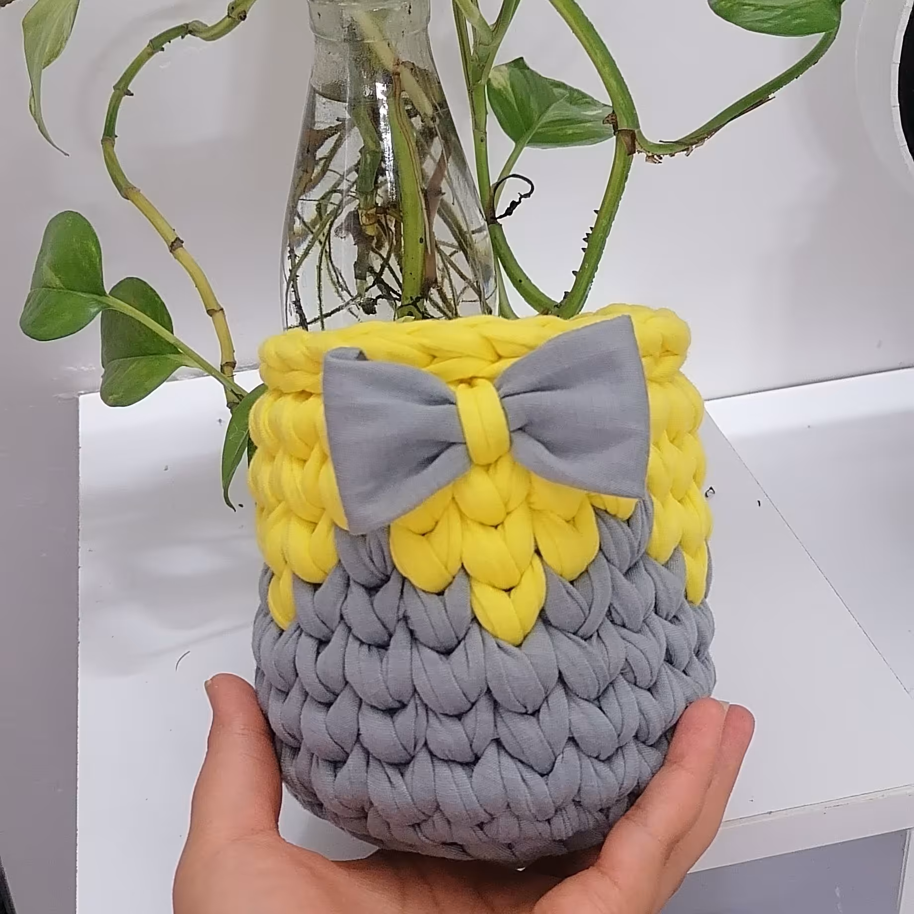 سبد طوسی و زرد دلبر