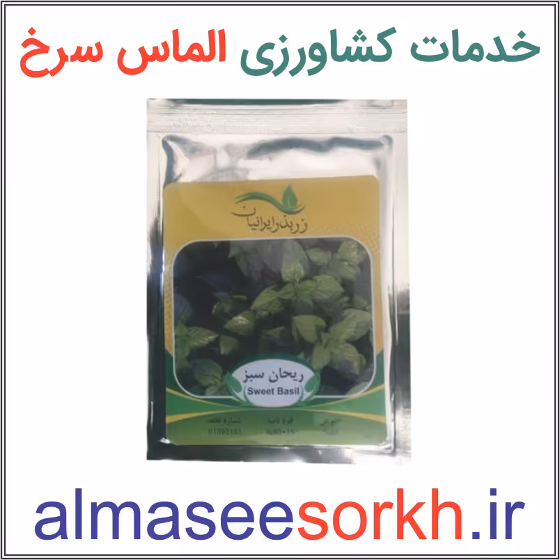 بذر ریحان سبز ممتاز زر بذر ایرانیان | گیاه پزشکی الماس سرخ