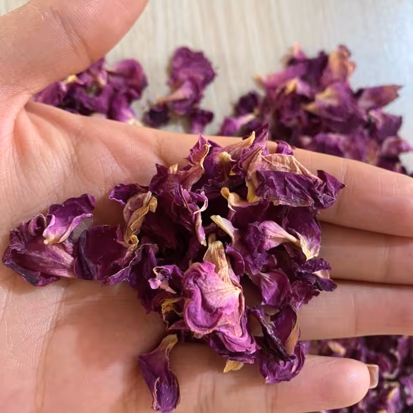 گل محمدی خشک تازه  تضمین کیفیت