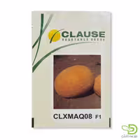 بذر خربزه آناناسی (CLXMAQ08) کلوز