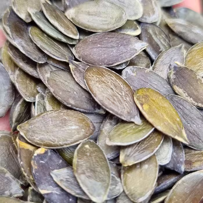بذر کدو پوست کاغذی (کدو طبی)پاکان بذر اصفهان 500 گرمی 