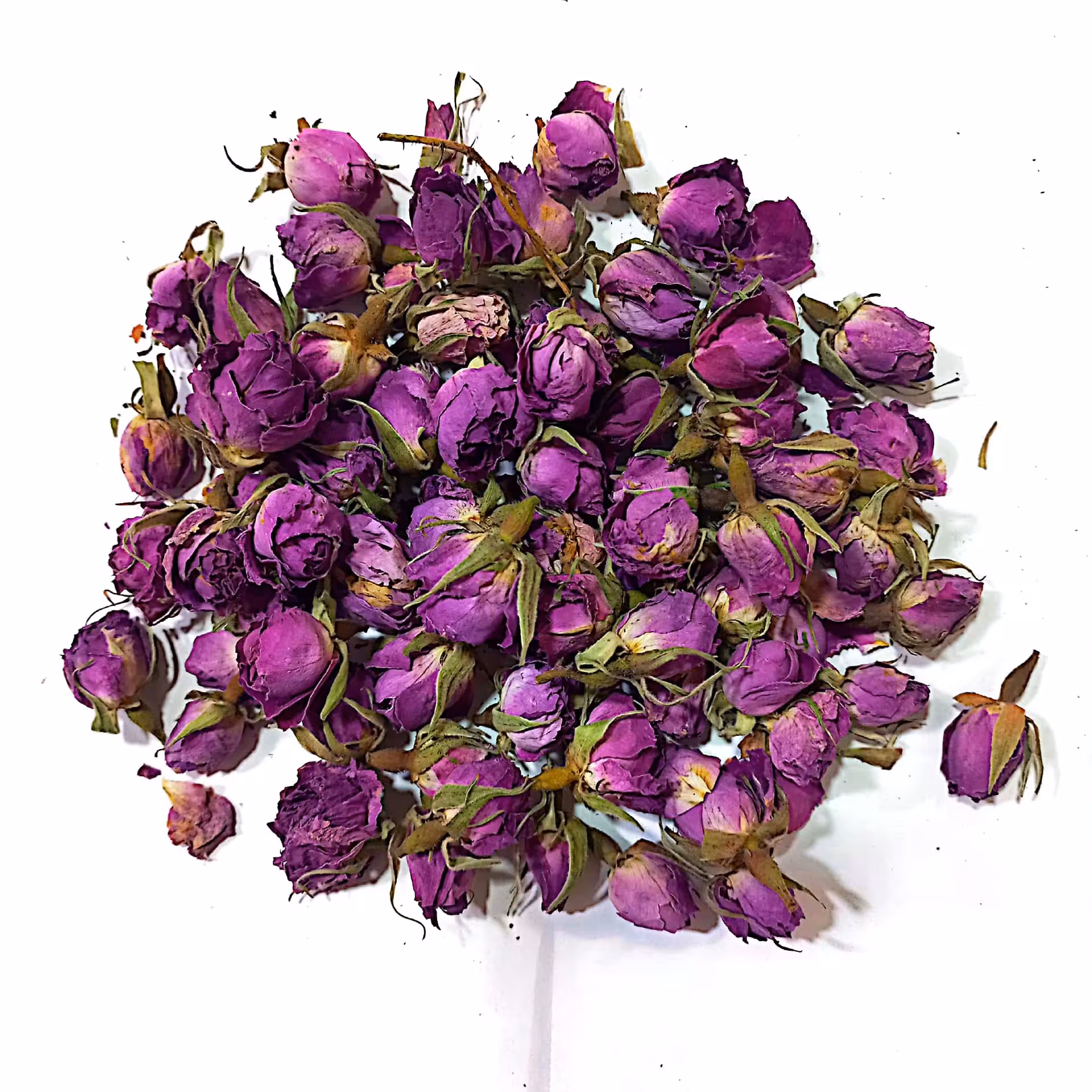 غنچه گل محمدی لاله زار کرمان