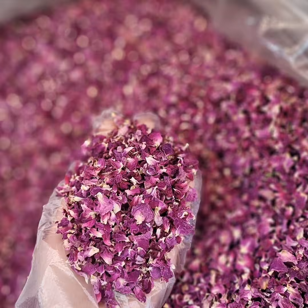 پر گل محمدی (50گرم) درجه 1
