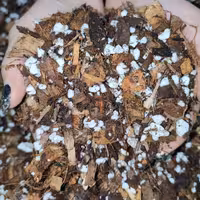 خاک مخصوص ارکیده وارداتی -کیفیت فوق العاده بالا - بسته بندی شده در حجم 3 لیتری