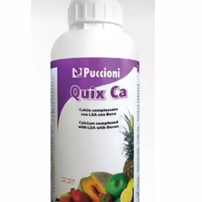 کود مایع کلسیم بور

Quix Ca محصول شرکت ایتالیایی پوچینی (کویکس کلسیم) 
