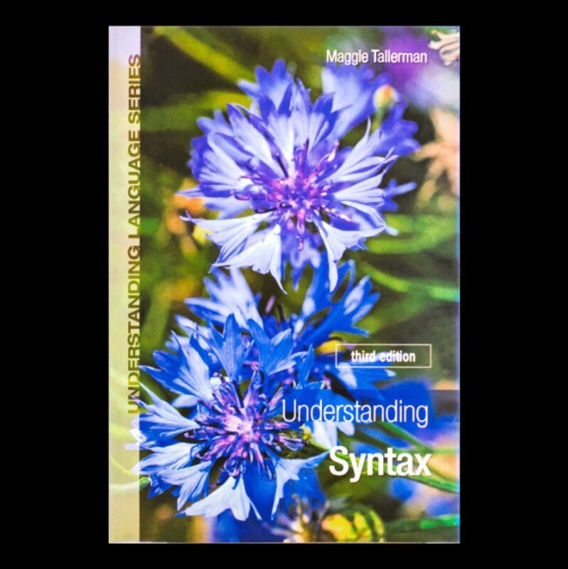 Understanding Syntax 3rd Edition کتاب