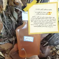 شامپو سر و بدن گیاهی شاهدخت شامپو دو منظوره