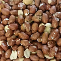 بادام زمینی هندی کپسولی خوشمزه و ترد 500 گرمی آجیل و خشکبار مهران 