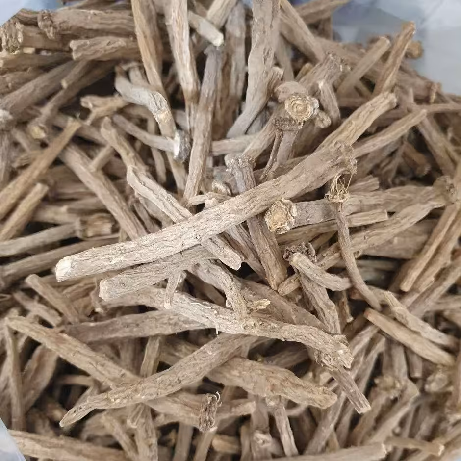 عاقرقرها .عاقرقرحا 50 گرم  مناسب کمردرد .میگرن .ضعف و بی حالی .لکنت زبان 