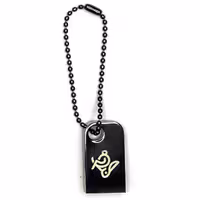 فلش iQ 302Flat 16GB رنگ مشکی