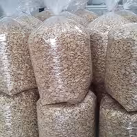 خلال بادام زمینی استانه اشرفیه درجه یک در وزن دو کیلویی 