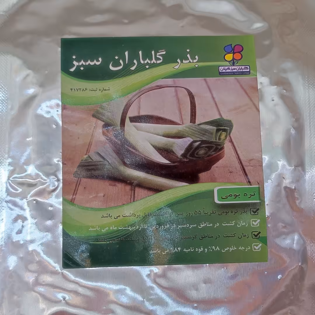 بذر تره اصلاح شده گیلان