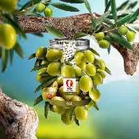 زیتون بدون هسته 
