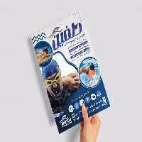 لایه باز تراکت استخر | گرافیک با طعم تربچه