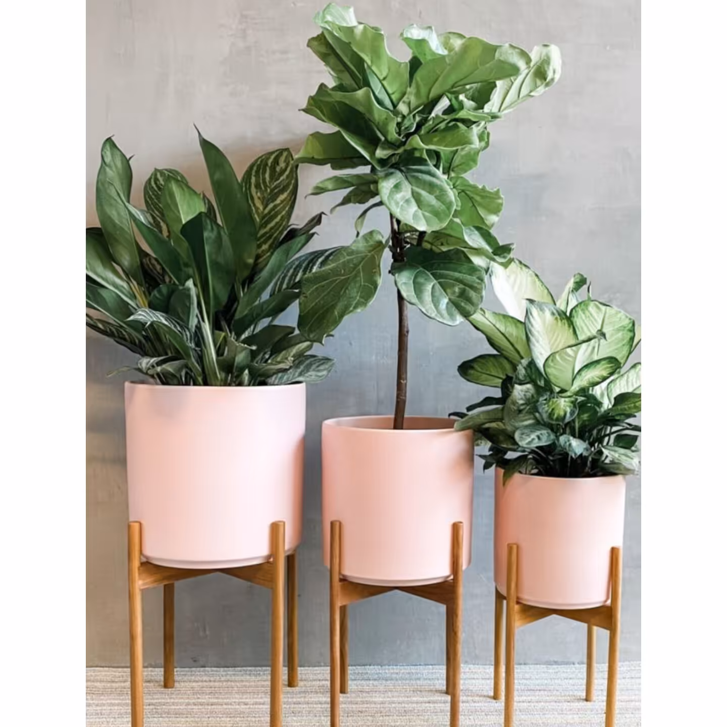 پایه گل مدل رونا