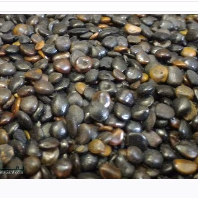 چشوم 100گرمی