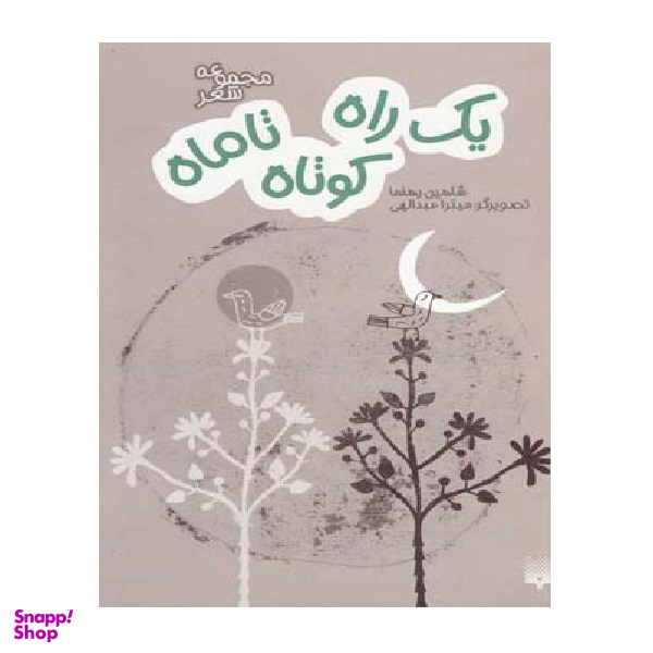 یک راه کوتاه تا ماه