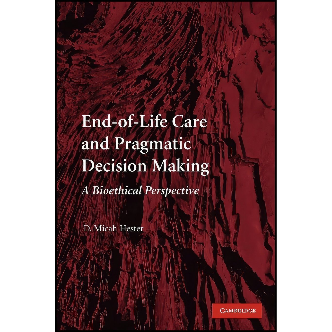 کتاب زبان اصلی EndofLife Care and Pragmatic Decision Making اثر D Micah Hester