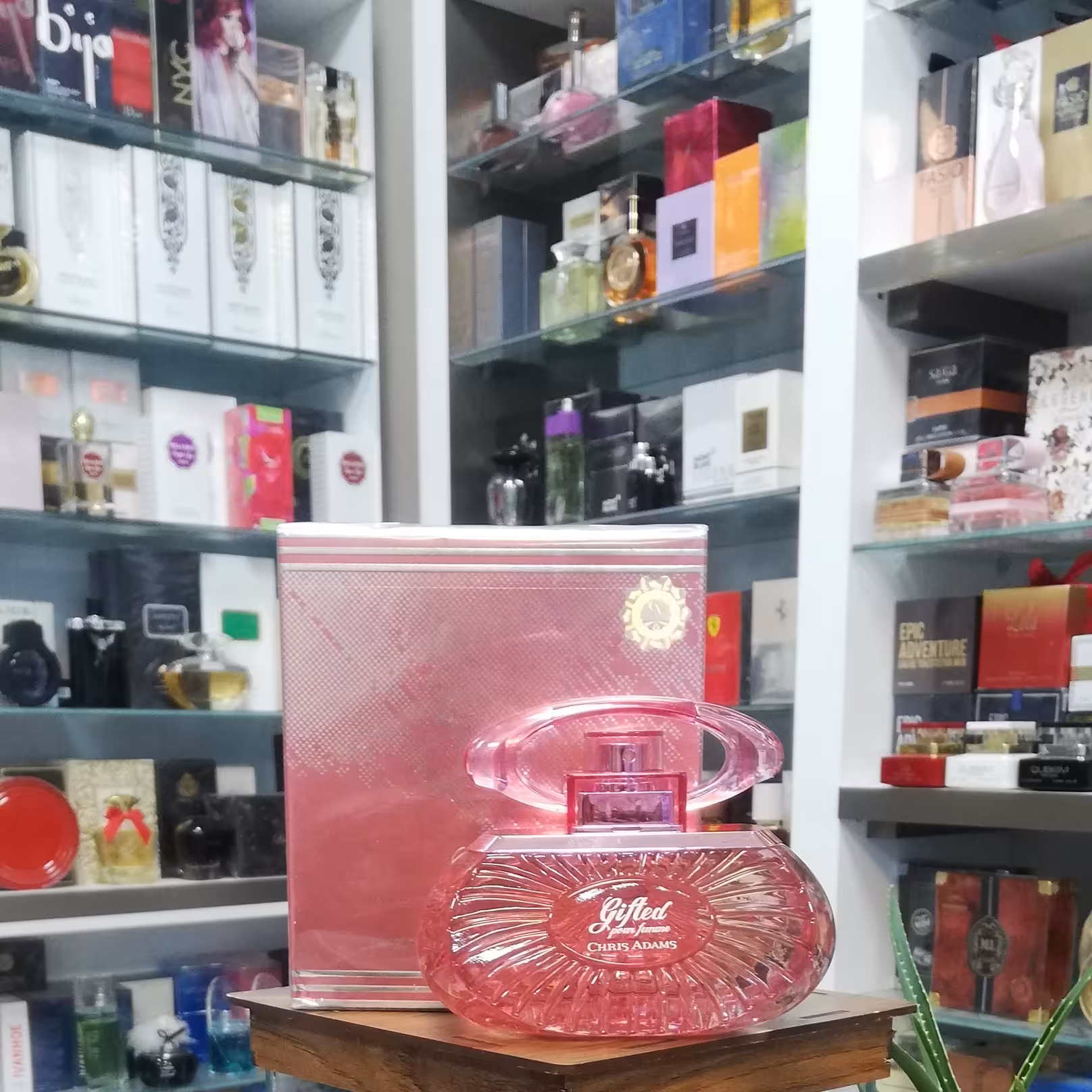 عطر زنانه کریس آدامز مدل گیفتدGifted