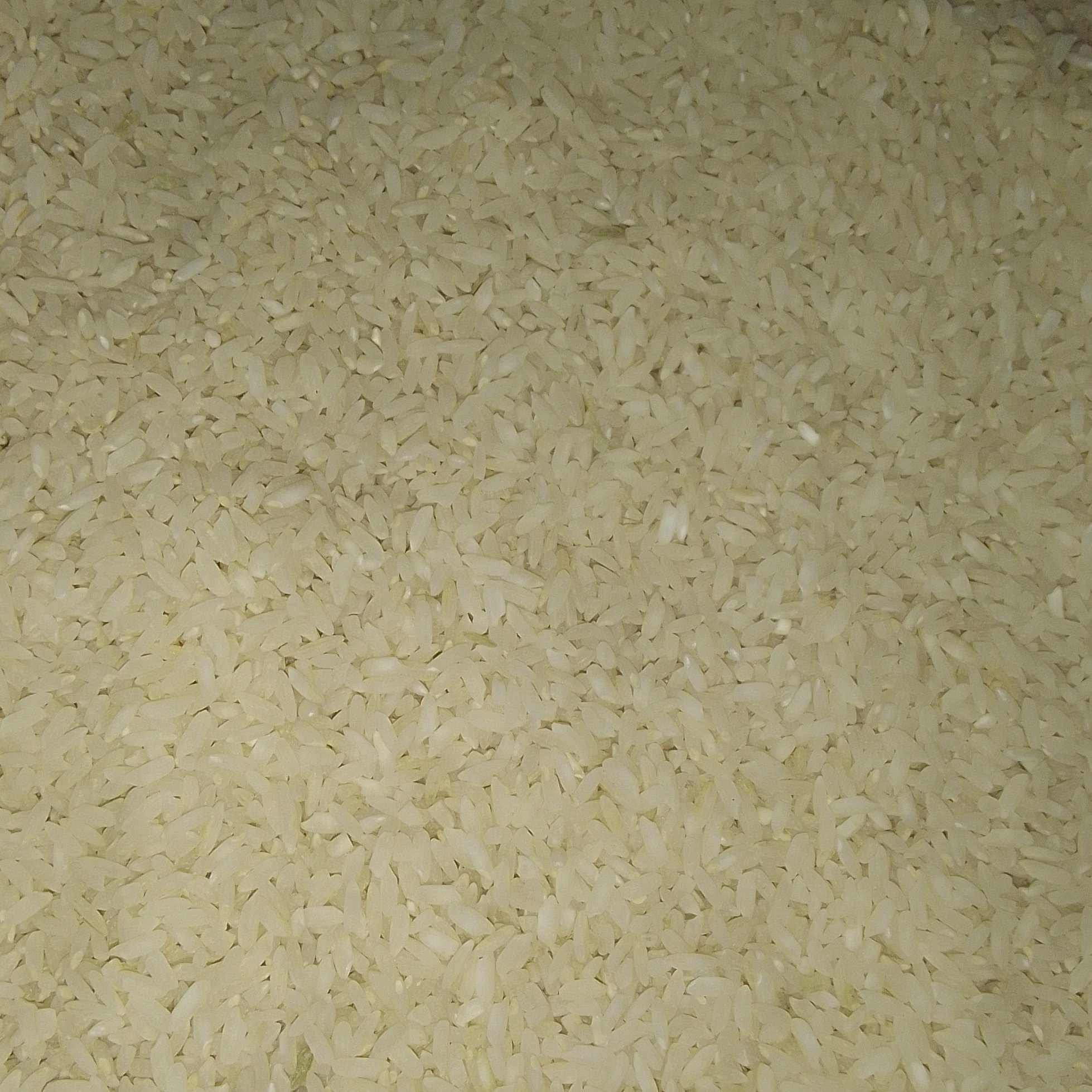 برنج بومی