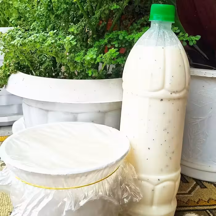 پک 6 لیتری دوغ گاوی عشایر سنگسر سمنان ترش و غلیظ کاملا طبیعی و تضمینی(6 بطری یک لیتری)