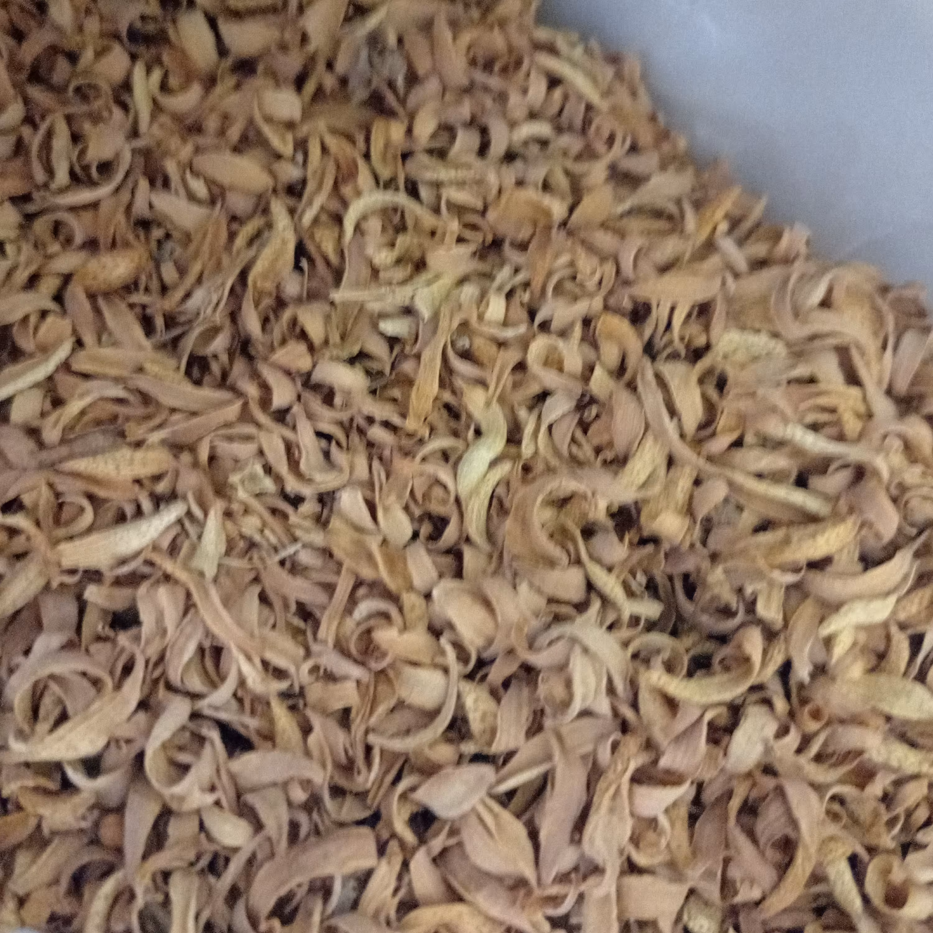 بهرنارنج گیاه عالی