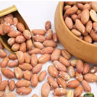 بادام زمینی آستانه اشرفیه 