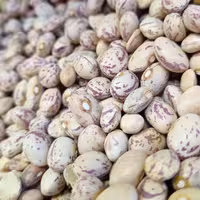 بهترین قیمت لوبیا چیتی نیم کیلو با بهترین کیفیت   