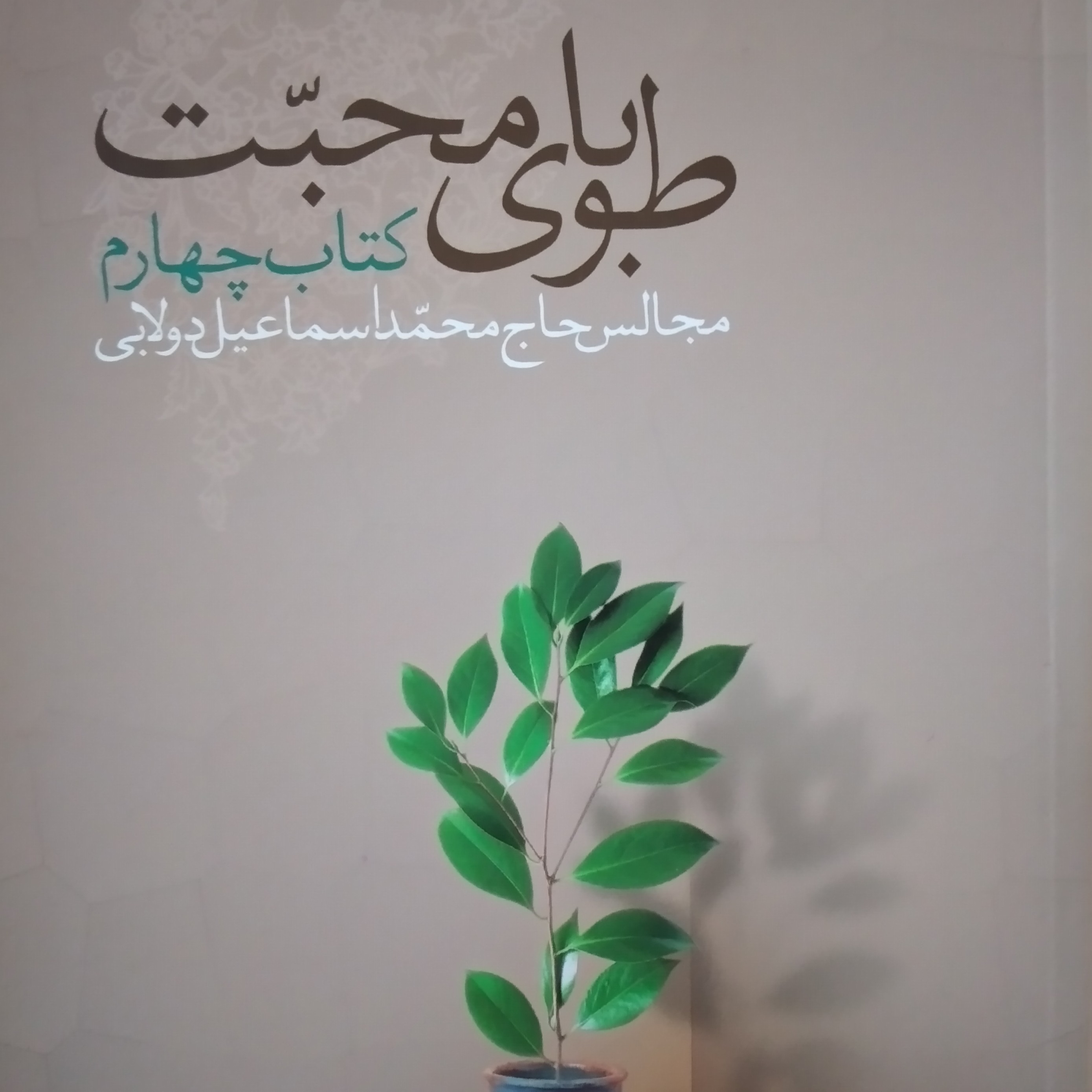 کتاب طوبای محبت مجالس حاج محمد اسماعیل دولابی جلد چهارم