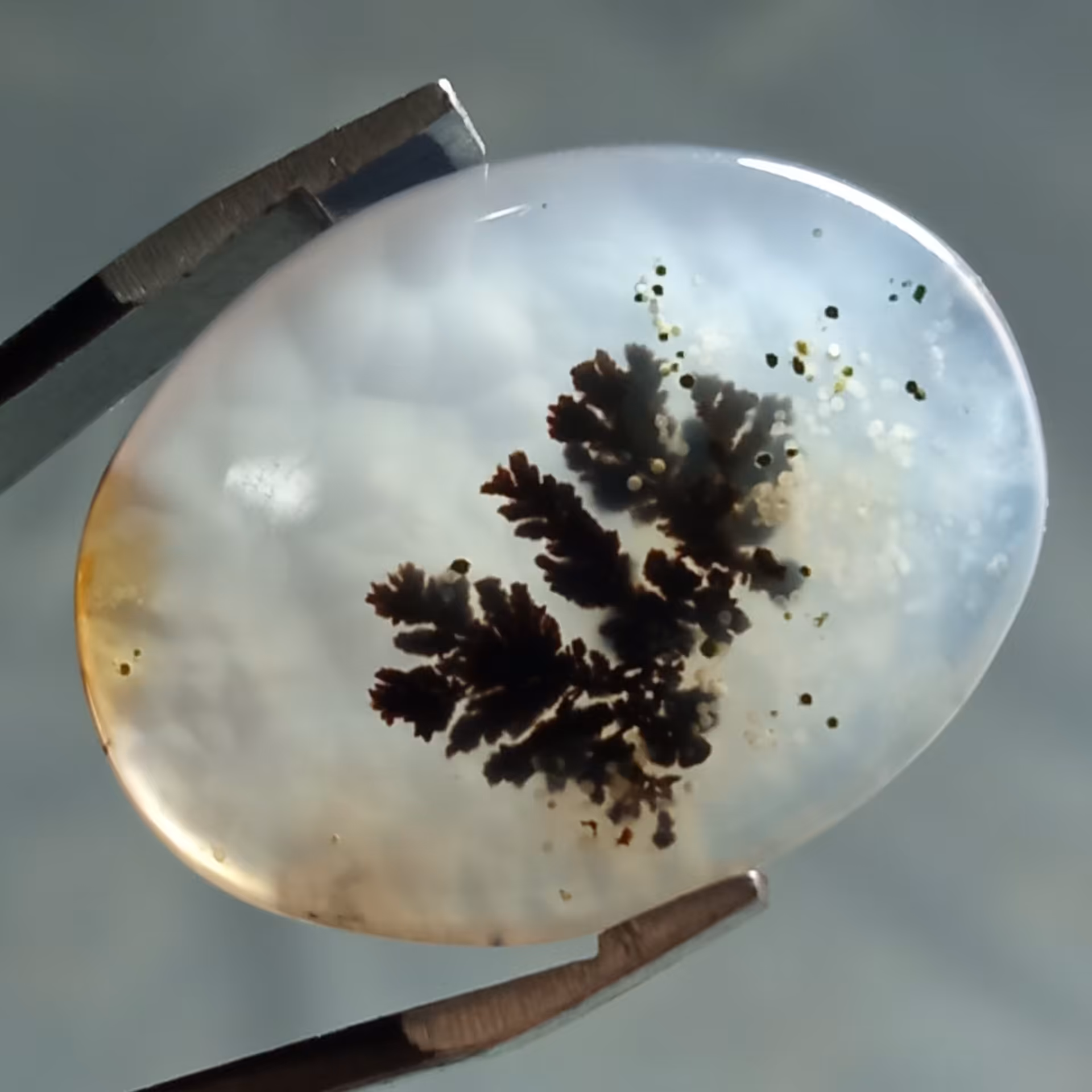 نگین شجر قائن زمینه شفاف و لانه زنبوری بسیار زیبا مناسب انگشتر و..