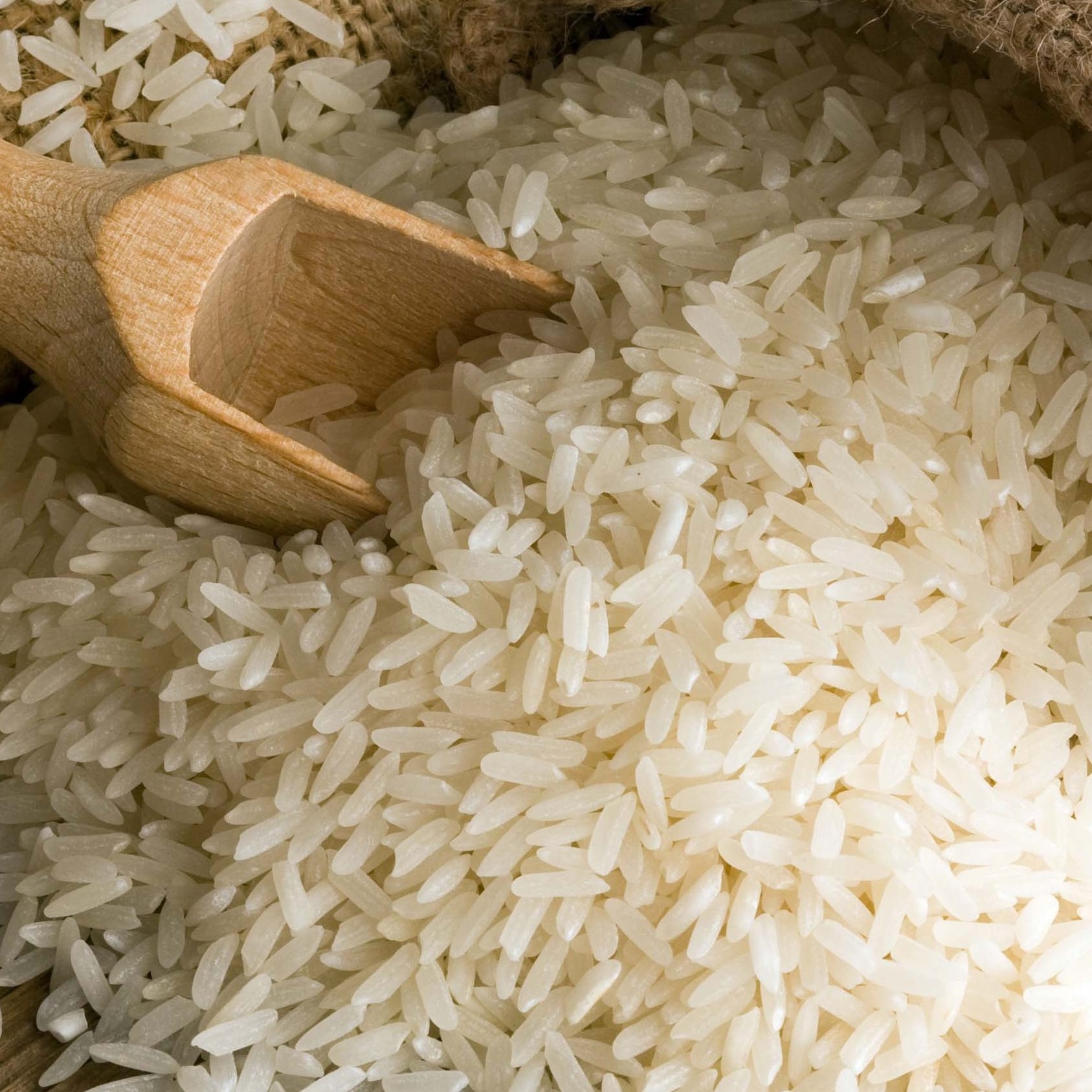 برنج عنبربو معطر امساله تضمینی یک دست