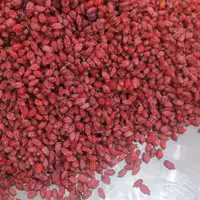 زرشک پفکی یک کیلویی زرشک ارگانیک یک کیلویی زرشک بدون افزودنی آب و روغن ارسال رایگان 