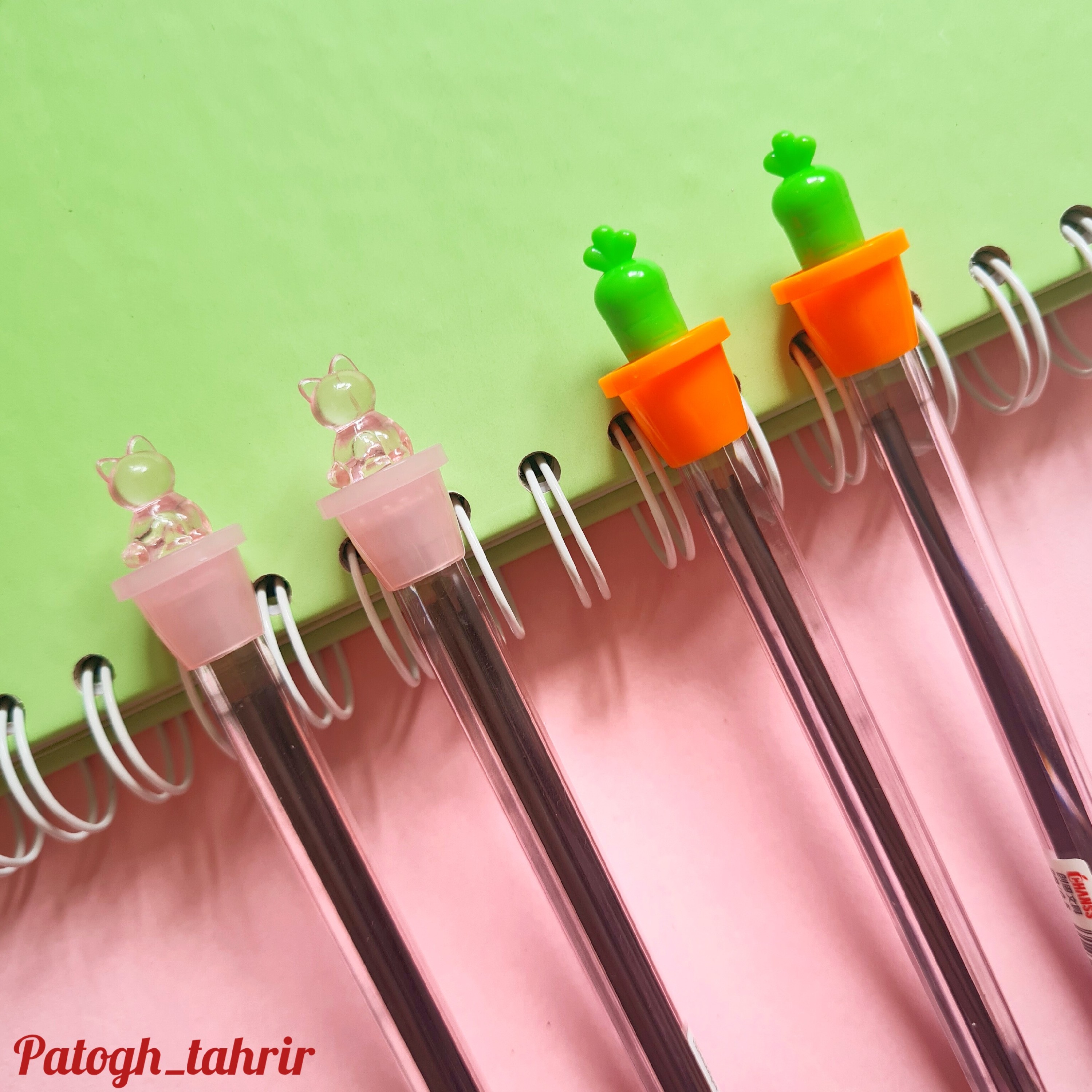 نوک مداد اتود باکیفیت با مخزن فانتزی در دو طرح کاکتوس و گربه