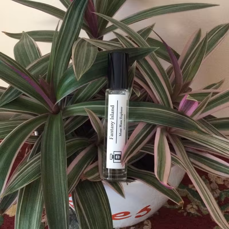 عطر مون بلن اکسپلورر 