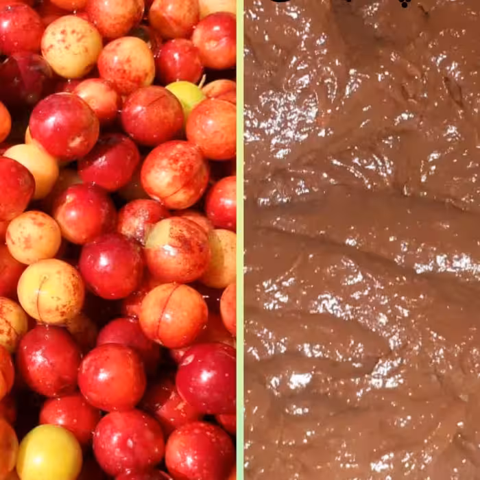 رب آلوچه جنگلی شمال ، کیفیت بی نظیر ، ترش و غلیظ 