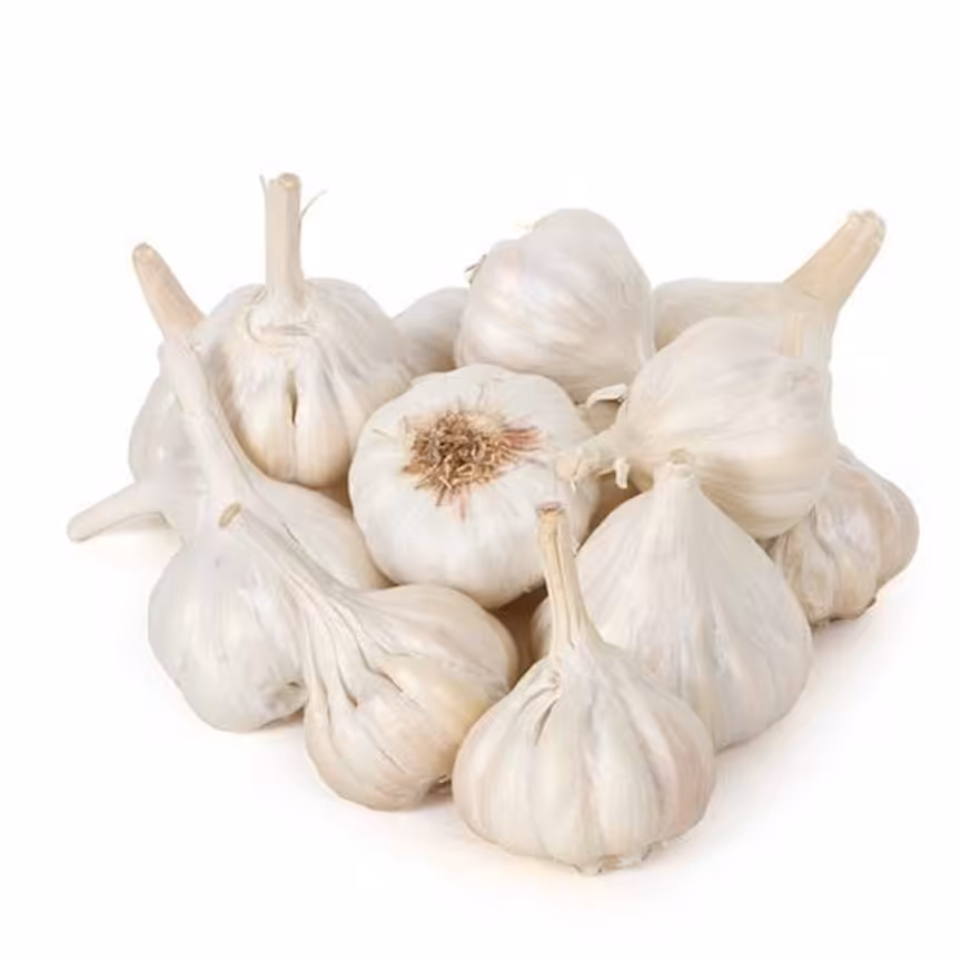 سیر خشک ممتاز