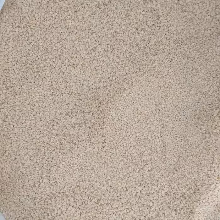 کنجد ایرانی 