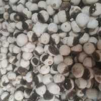 کشک قره قوروتی گوسفندی محلی  لذیذ و خوشمزه 500گرم 