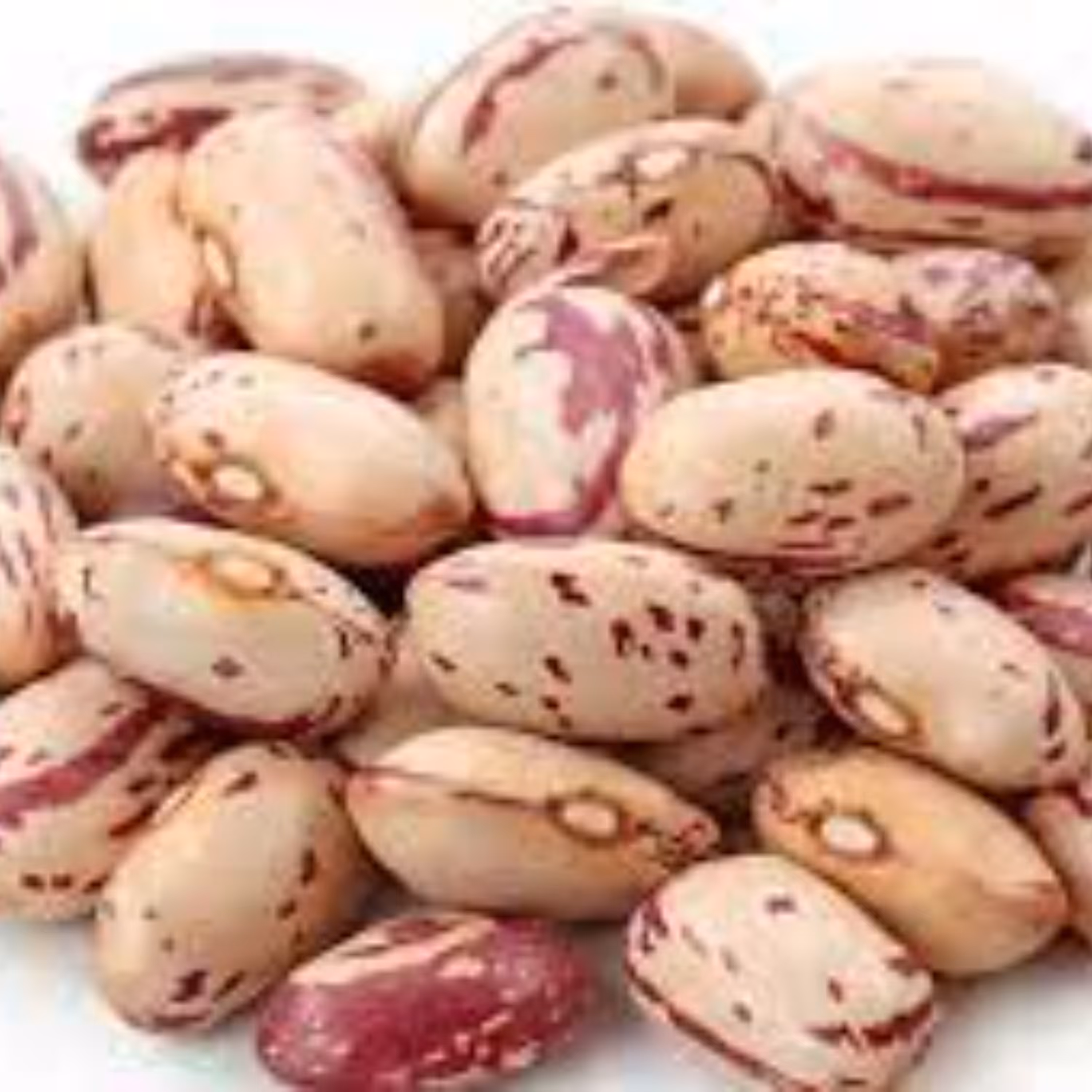 لوبیا چیتی اعلا دستچین 1000 گرمی