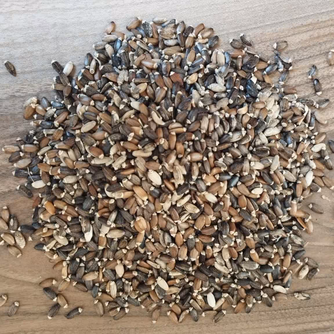 دانه ی خار مریم درجه یک و اعلا در بسته های ( 50 گرمی)