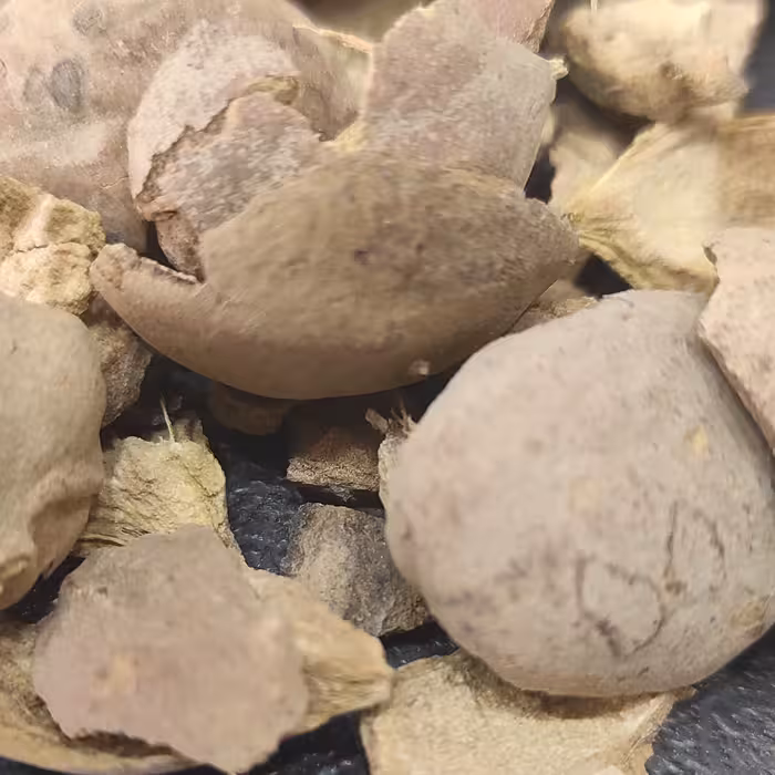 بلیله بدون هسته خالص پاک شده تمیز آماده مصرف بسته 70 گرمی 