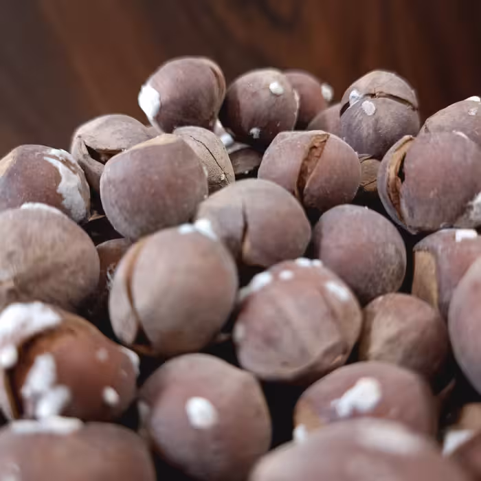 فندق نمکی بوداده و برشته شده محصول 1401 اشکورات 